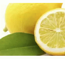 Эфирное масло ЛИМОН, Марокко (Citrus limon)