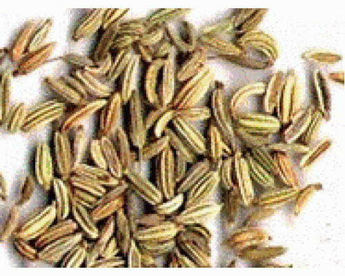 Эфирное масло ФЕНХЕЛЬ семена (Foeniculum vulgare)